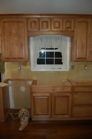 Jazzy's sad there's no diswasher to lick